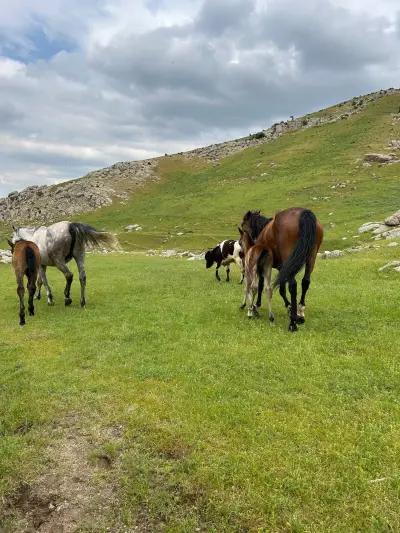 Orhalik Mounatins 6