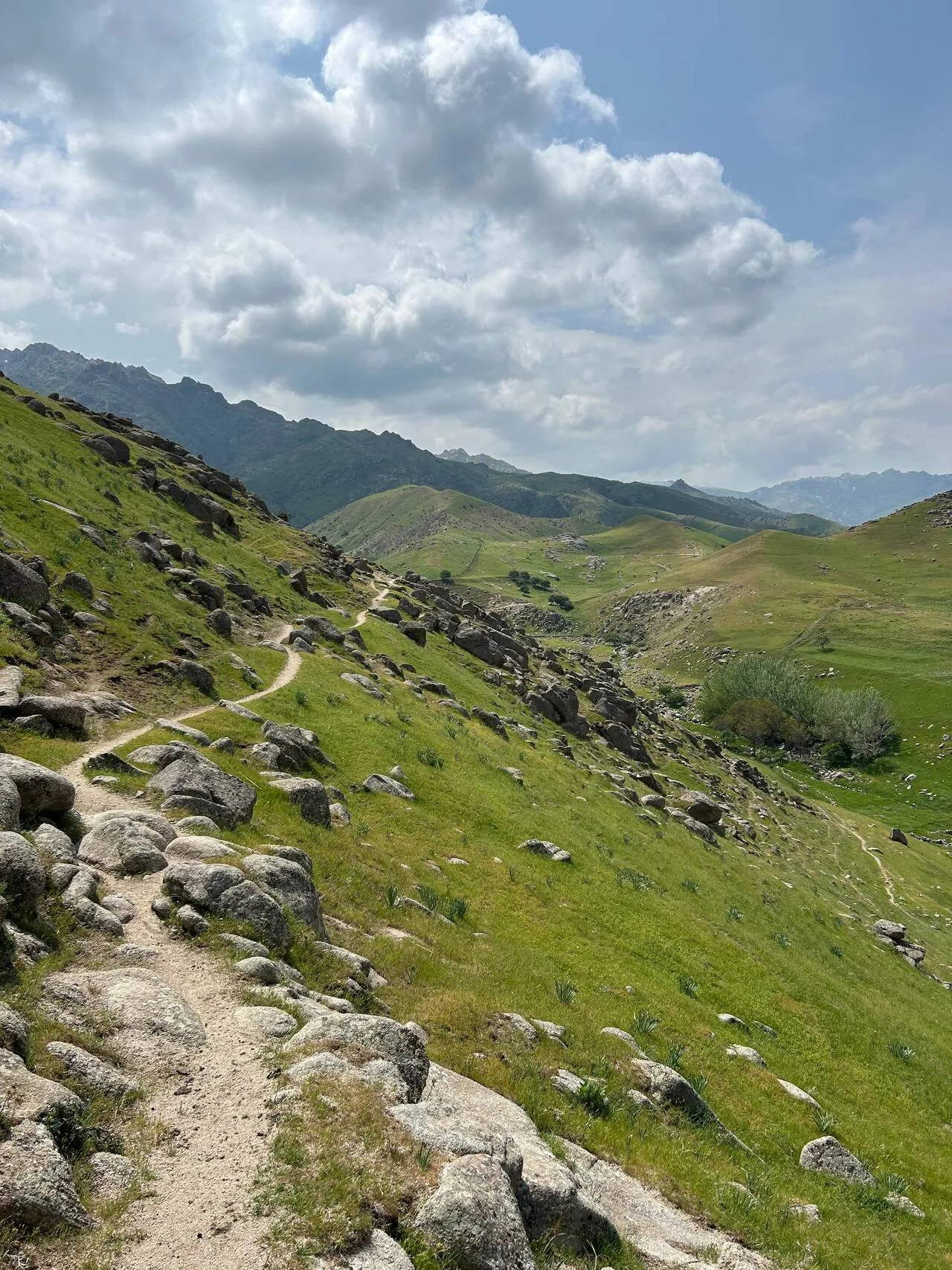 Samarkand: Nature Hike in the Ohalik Mountains with a Local Guide 2