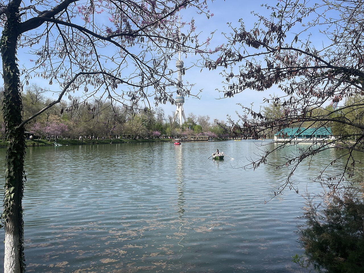 Tashkent TV Tower