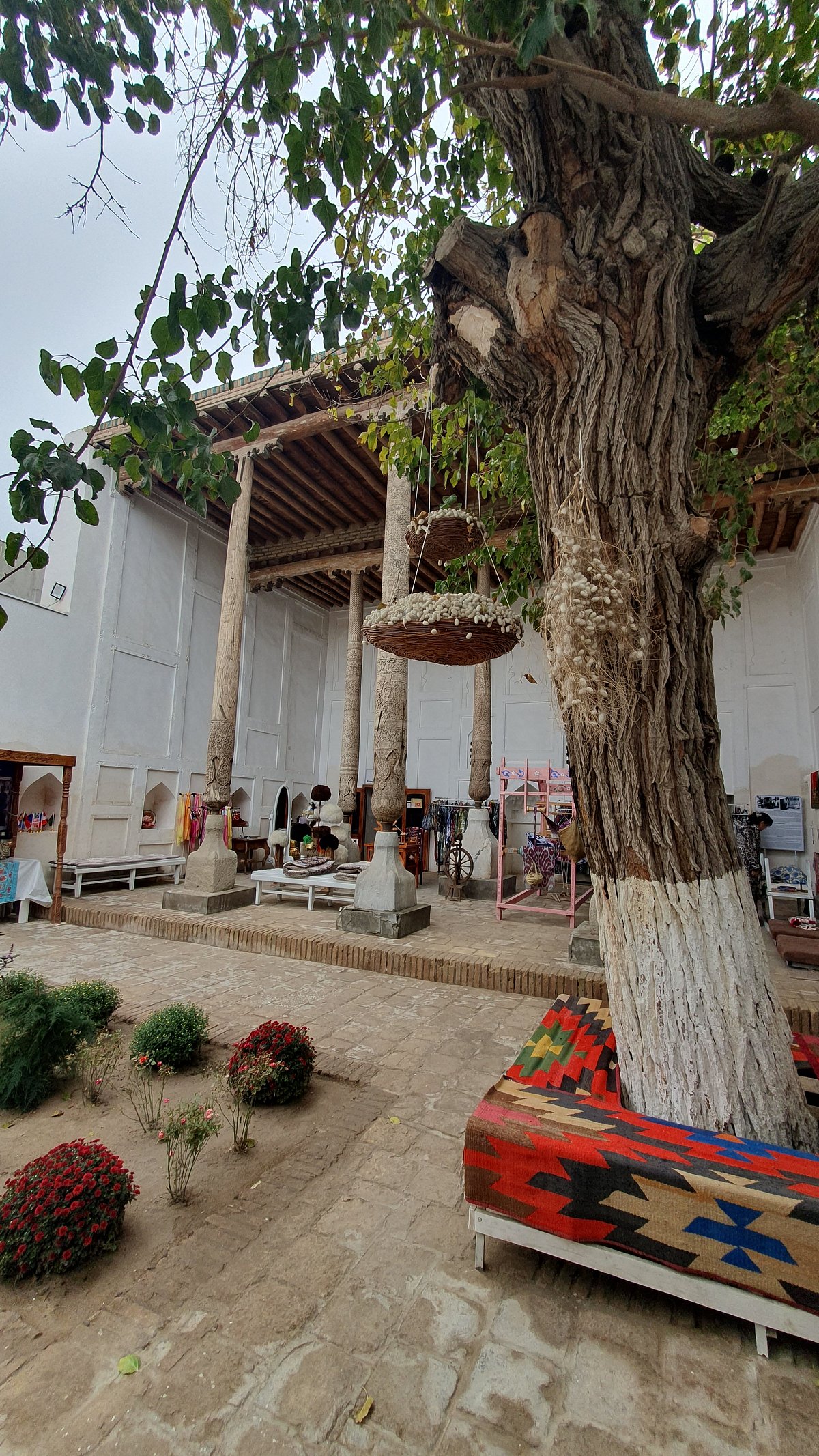 Khiva: Silk Museum & Traditional Tea Ceremony - 4